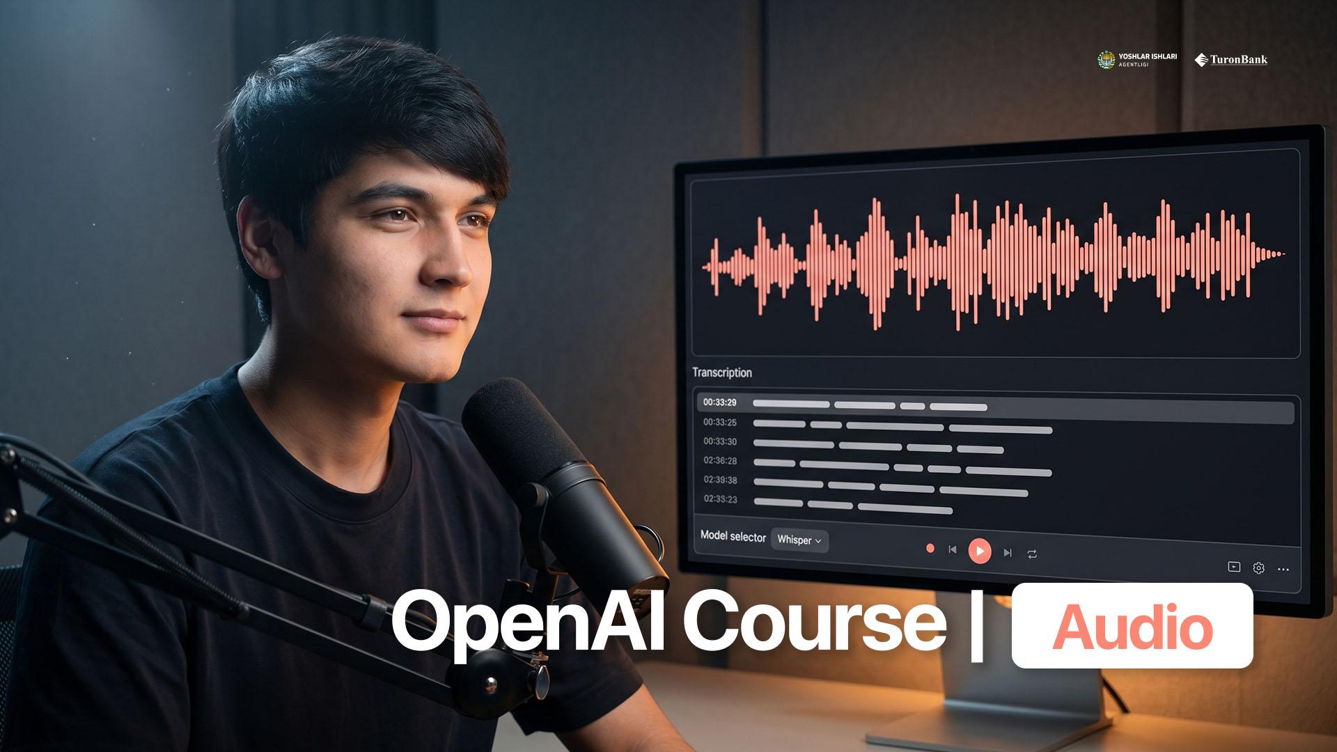 OpenAI Course | Audio