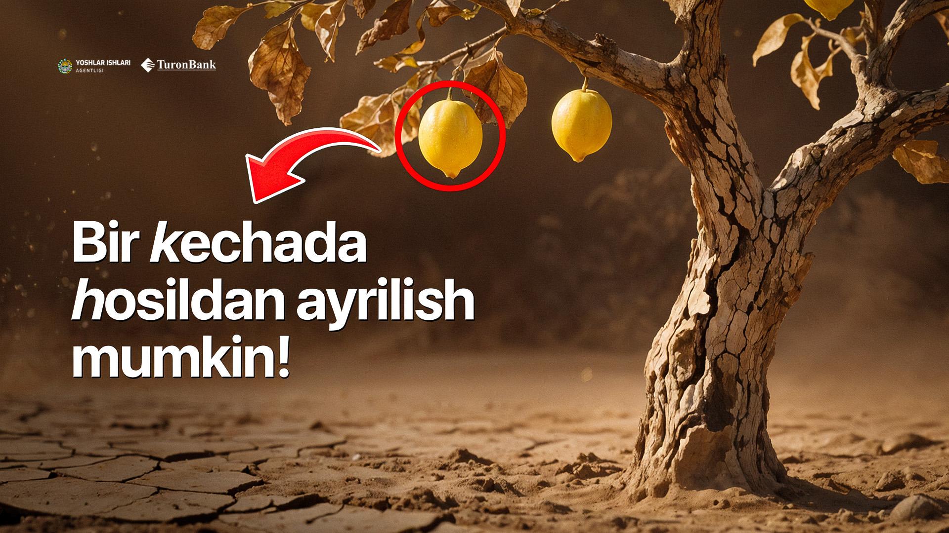 Kasalliklar va zararkunandalarga qarshi kurash