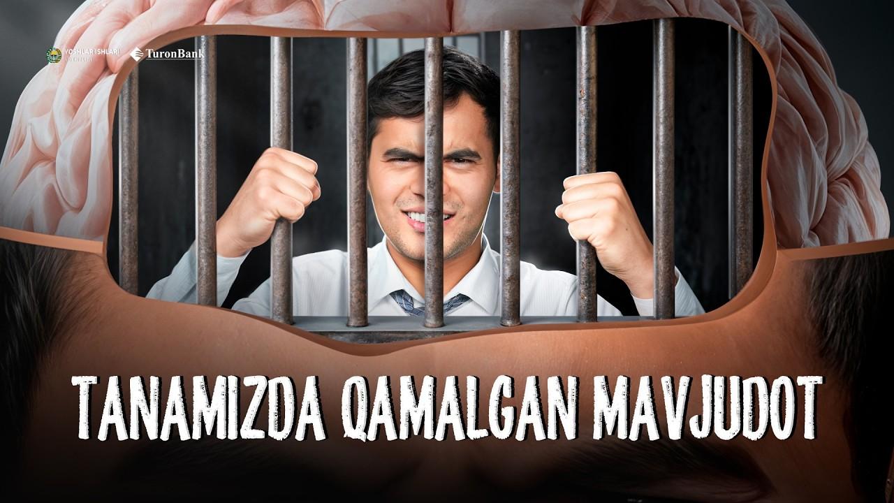 Bu videodan keyin boshqa asabiylashmaysiz (lekin aniq emas)